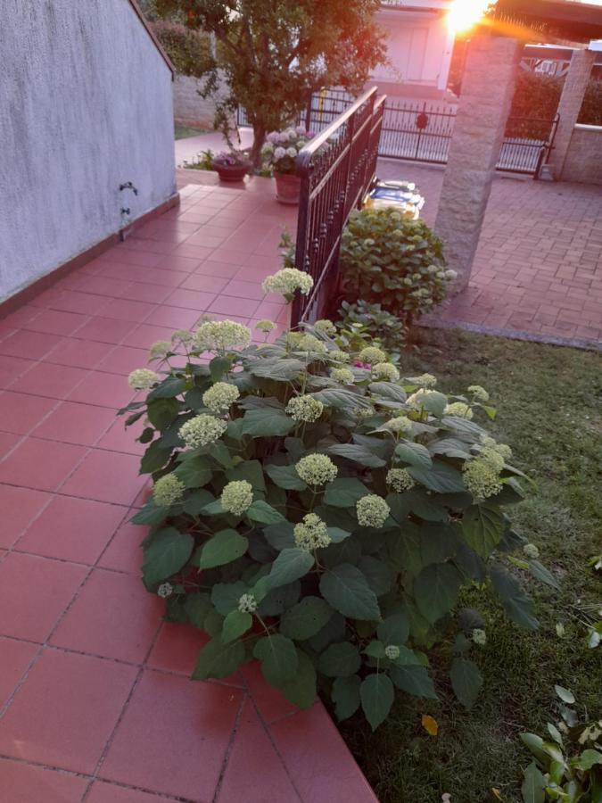 Villa Iva Porec Exterior photo